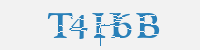 보안문자